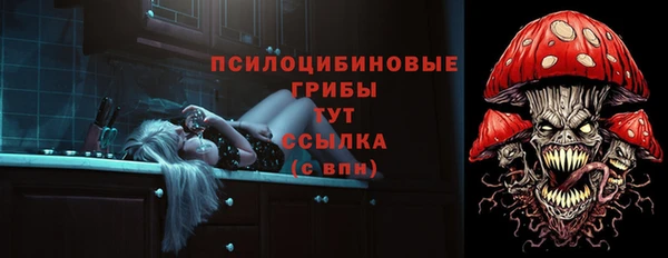 PSILOCYBIN Пестово