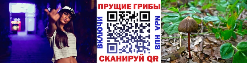 Галлюциногенные грибы мухоморы  сколько стоит  Прокопьевск 
